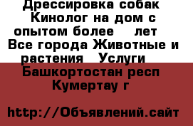 Дрессировка собак (Кинолог на дом с опытом более 10 лет) - Все города Животные и растения » Услуги   . Башкортостан респ.,Кумертау г.